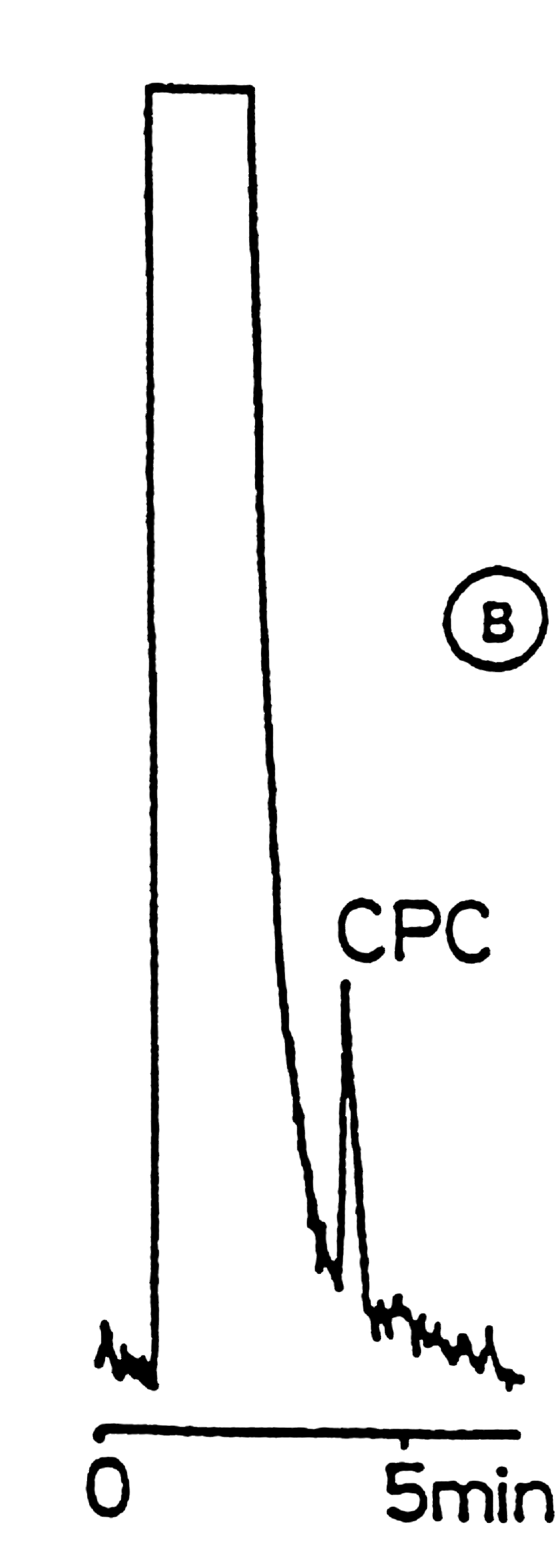 Cetylpyridinium Chloride - Image 2